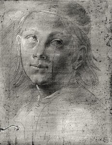 Head of a Young Man by Lorenzo di Credi